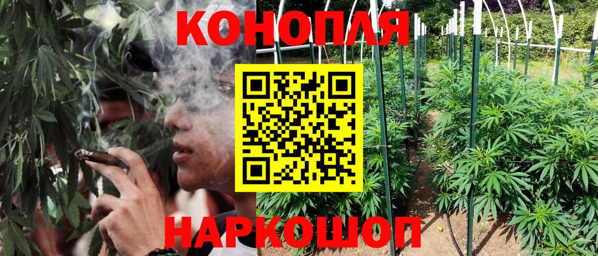 МАРИХУАНА SATIVA & INDICA Тара